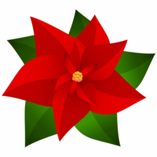 320x320 Hd Poinsettia Transparent Snow