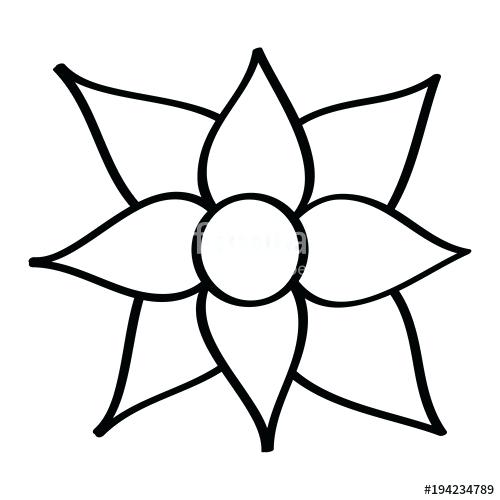 500x500 Poinsettia Outline Most Beautiful Flower In The World Better Homes