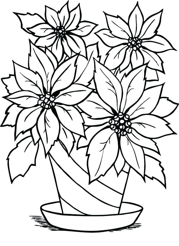 600x826 Christmas Flower Coloring Pages Palmarosa