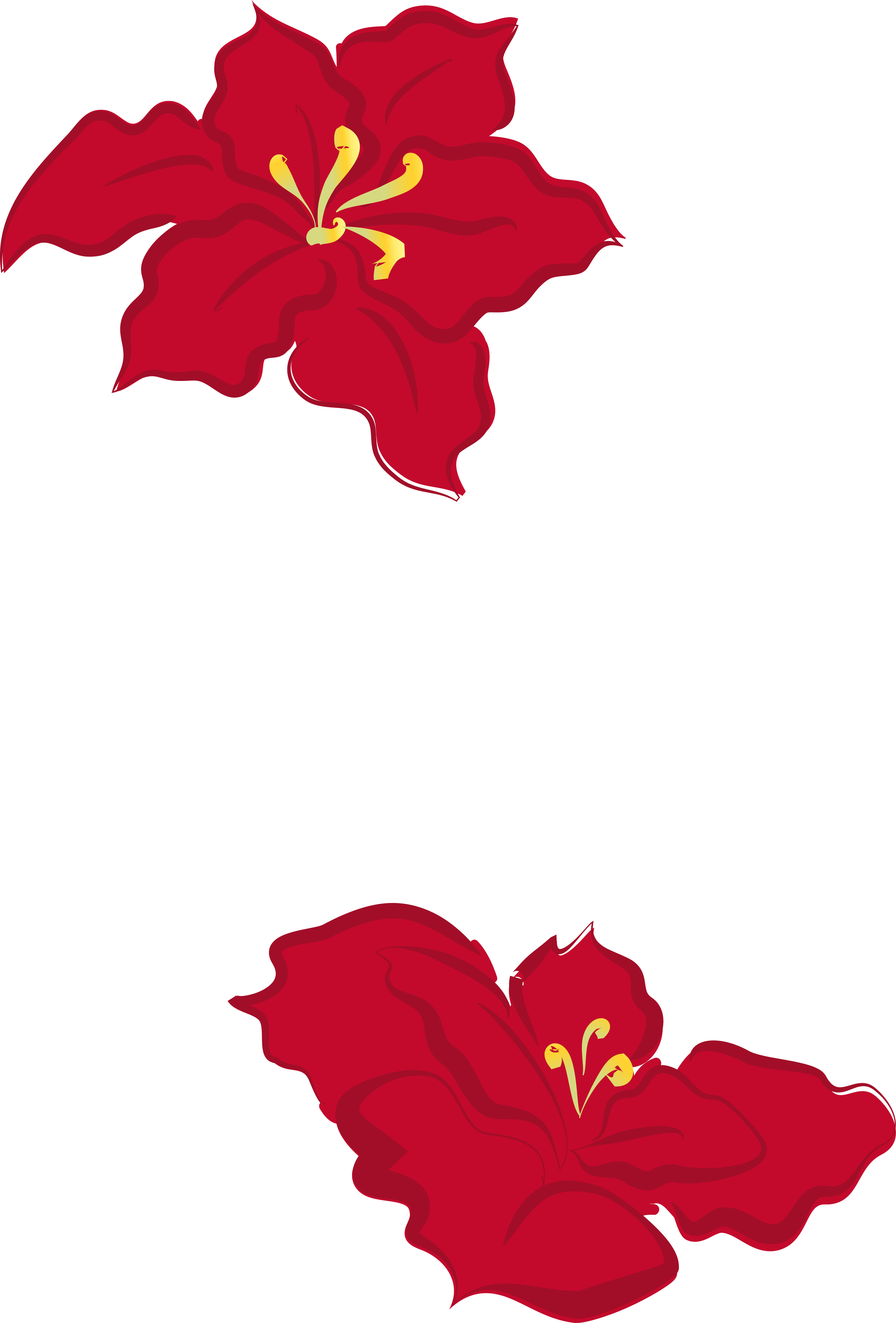 3652x5390 Collection Of Free Poinsettia Drawing Cute Download On Ui Ex