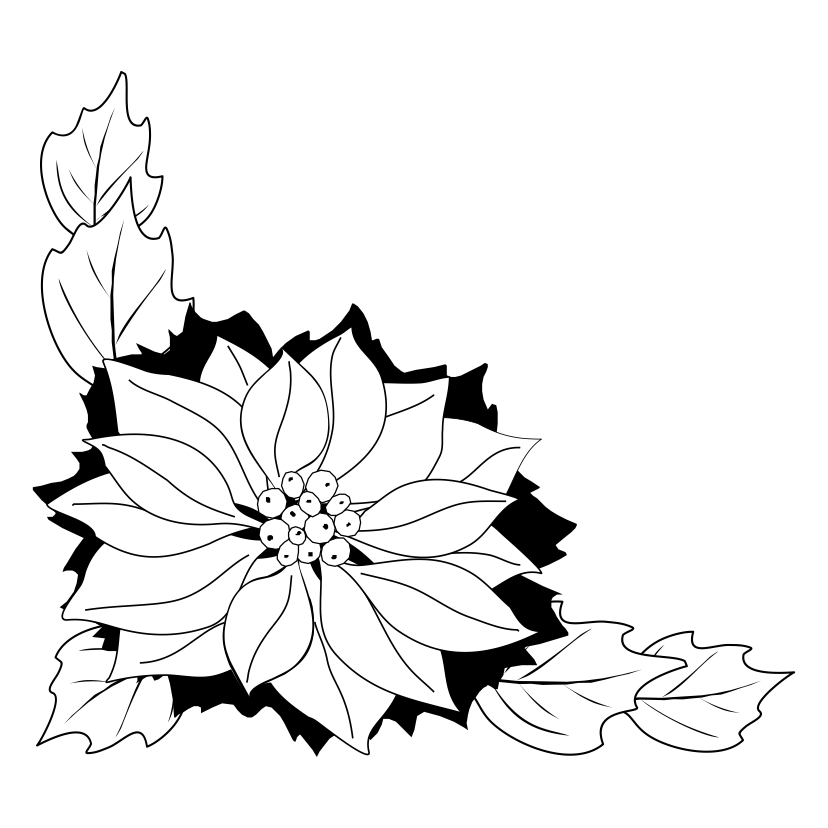 Poinsettia Line Drawing
