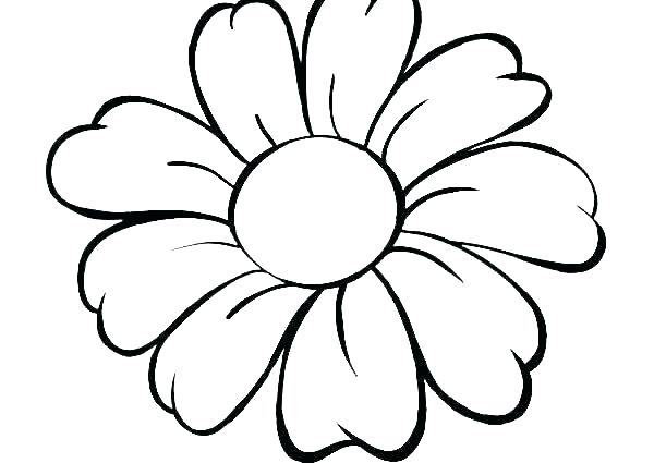 600x425 poinsettia coloring pages poinsettia coloring pages