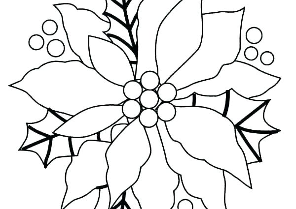 600x425 Poinsettia Coloring