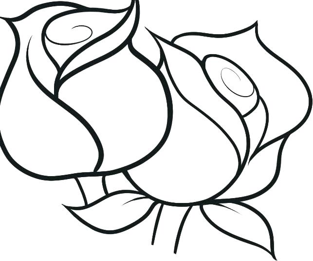 643x535 Coloring Pages For Girls Kids Disney Adults Animals Blooming
