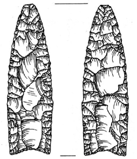 578x671 The Clovis Point Type Specimen From Blackwater Draw, The First