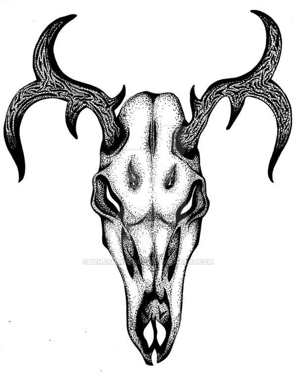 600x758 Dark Deer Skull