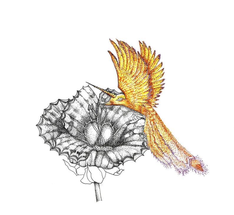 794x728 pointillism drawing of mystical hummingbird etsy