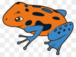 320x240 Frog