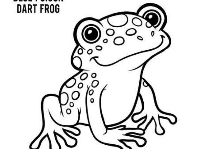 640x480 Poison Dart Frog Clipart Cute