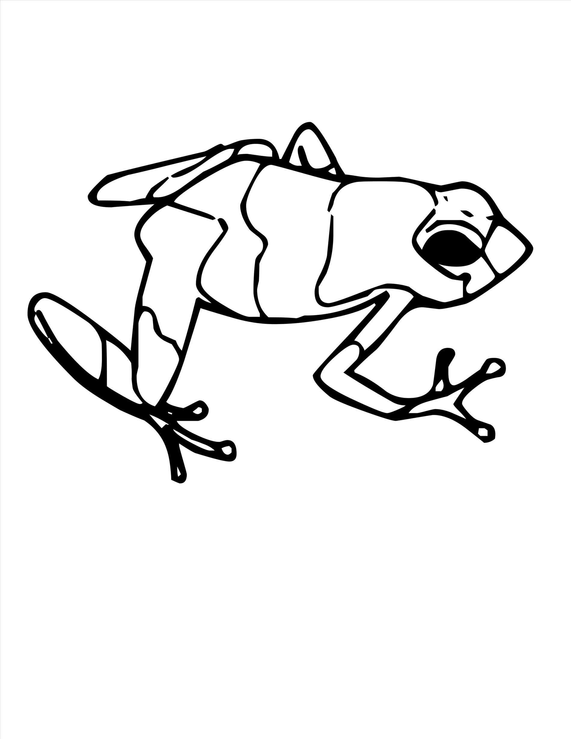 1900x2458 Frog Drawing Poison Dart Frog For Free Download
