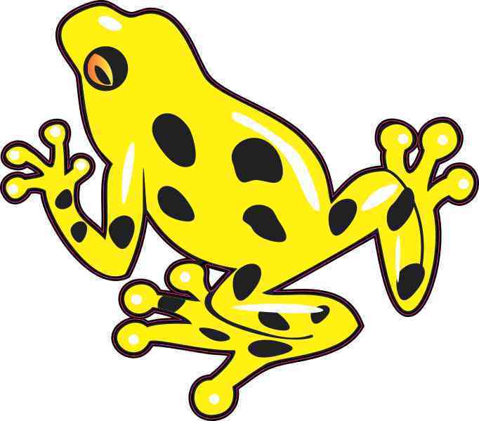 682x599 X Yellow Poison Dart Frog Sticker