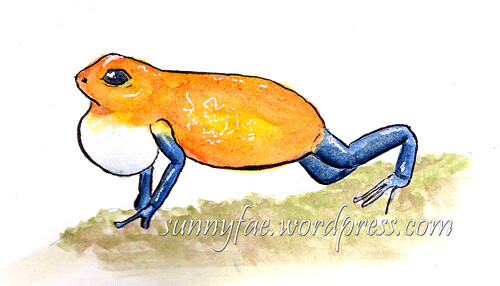 500x286 sometimes i need to draw a frog sunnyfae
