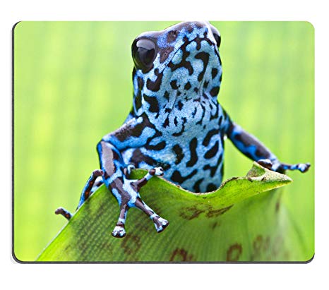 466x411 Luxlady Gaming Mousepad Image Blue