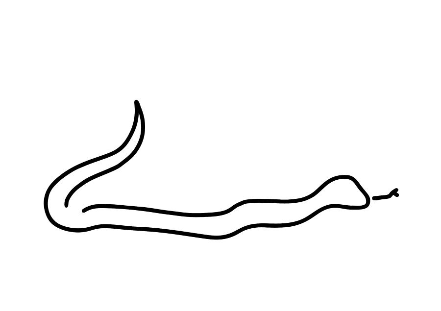 900x635 Queue Tongue Poison Drawing