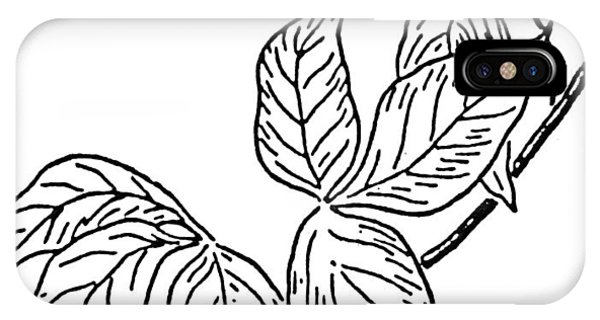 600x320 Poison Ivy Drawing