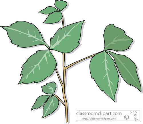 500x432 Plants Clipart