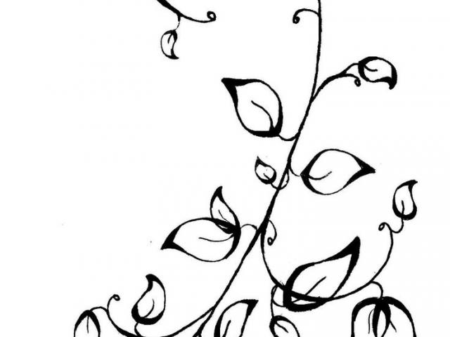 Poison Ivy Plant Drawing | Free download on ClipArtMag