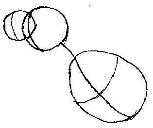 315x264 How To Draw Charizard From Pokemon With Step