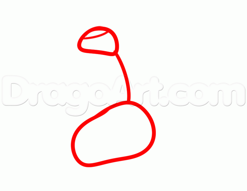 811x629 How To Draw Mega Charizard, Step