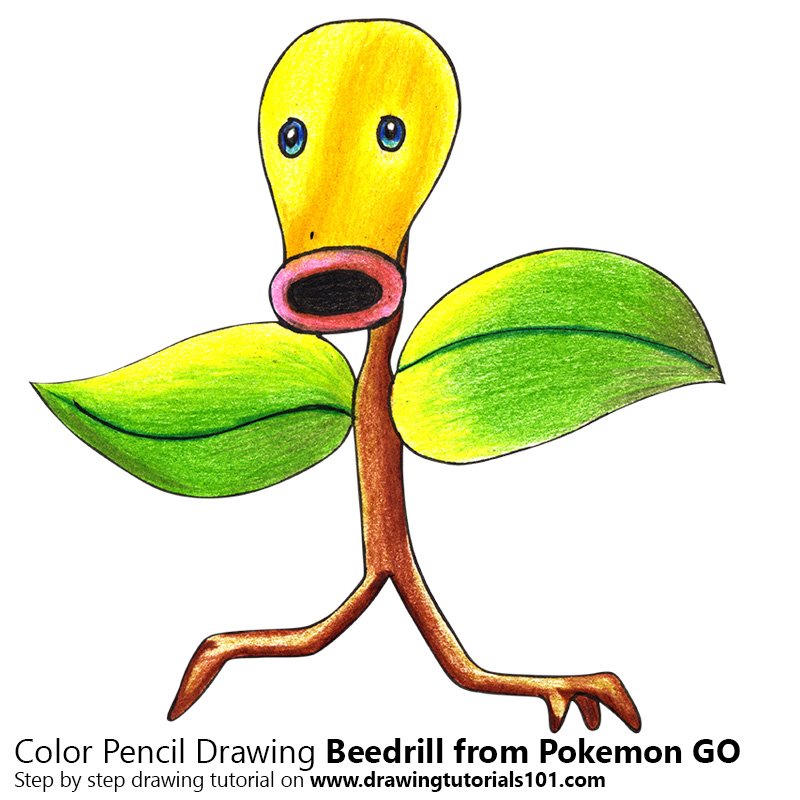 800x800 Bellsprout From Pokemon Go Colored Pencils