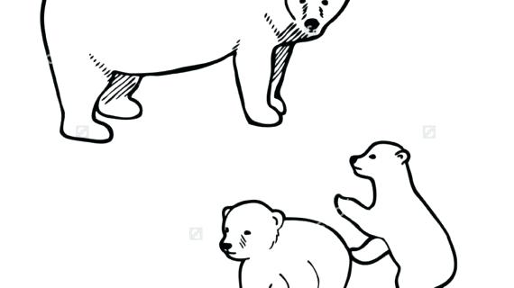 570x320 Coloring Pages Draw A Polar Bear Cute Polar Bear Coloring Pages
