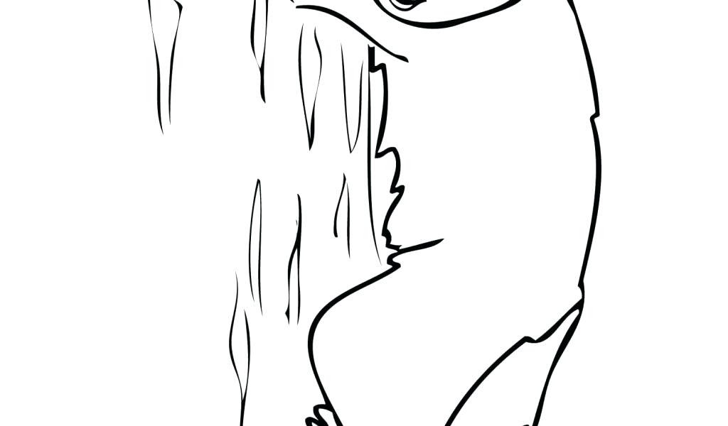 1024x600 Bear Cub Coloring Pages