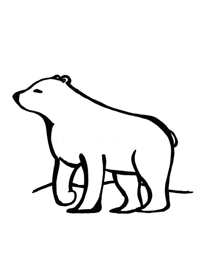 675x900 Polar Bear Drawings Download Cute Polar Bear Drawing Illustration