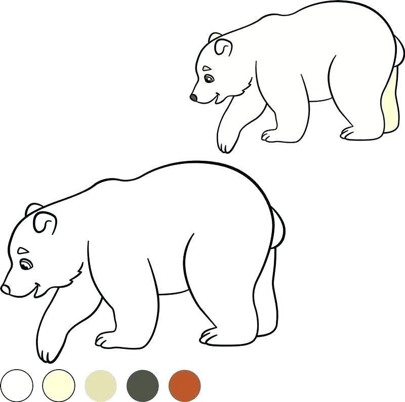 800x795 Cute Polar Bear Coloring Pages
