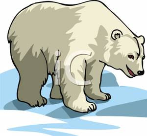 300x278 Polar Bear Clip Art Luxury Polar Bear Cute Drawing