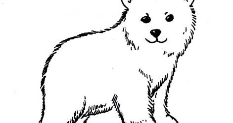 471x250 Polar Bear Drawing Black And White Michigan Dates Teddy Book Dead