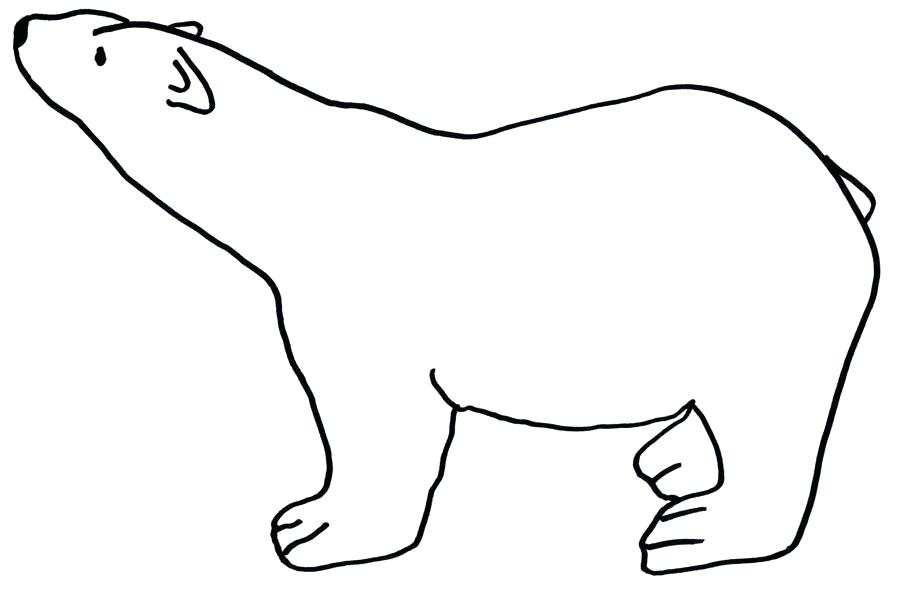 900x592 polar bear outline easy bear drawing outline drawing teddy bear