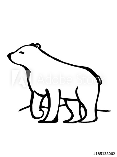 375x500 Cute Polar Bear Drawing Illustration Cartoon
