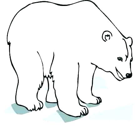 432x419 Polor Bear Coloring Pages Evanstonrocket Club