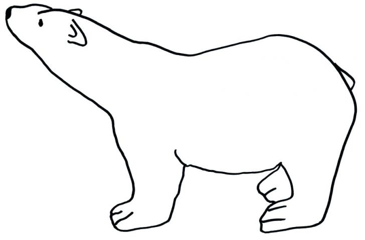 Polar Bear Drawing Easy | Free download on ClipArtMag