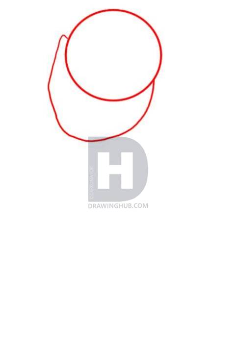 489x720 How To Draw A Polar Bear, Step