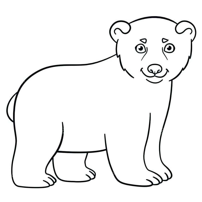 840x840 Little Polar Bear Coloring Pages Elegant Baby Polar Bear Drawing