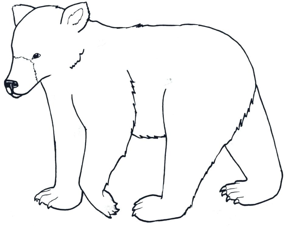 940x745 How To Draw A Polar Bear Step
