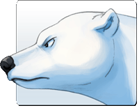200x155 How To Draw A Polar Bear Last Of The Polar Bears