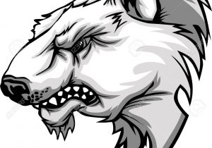 300x210 Polar Bear Head Drawing