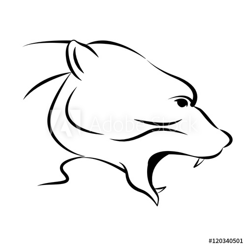 500x500 Polar Bear Head Vector Illustration Line