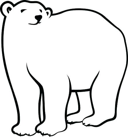 Polar Bear Head Drawing | Free download on ClipArtMag