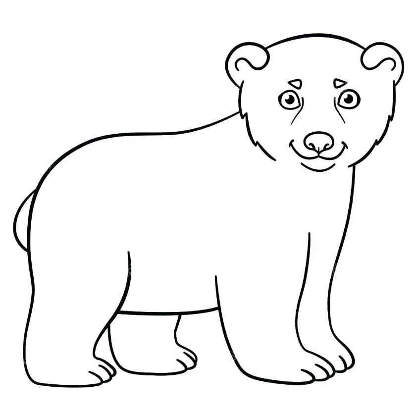 840x840 Baby Polar Bear Coloring Pages