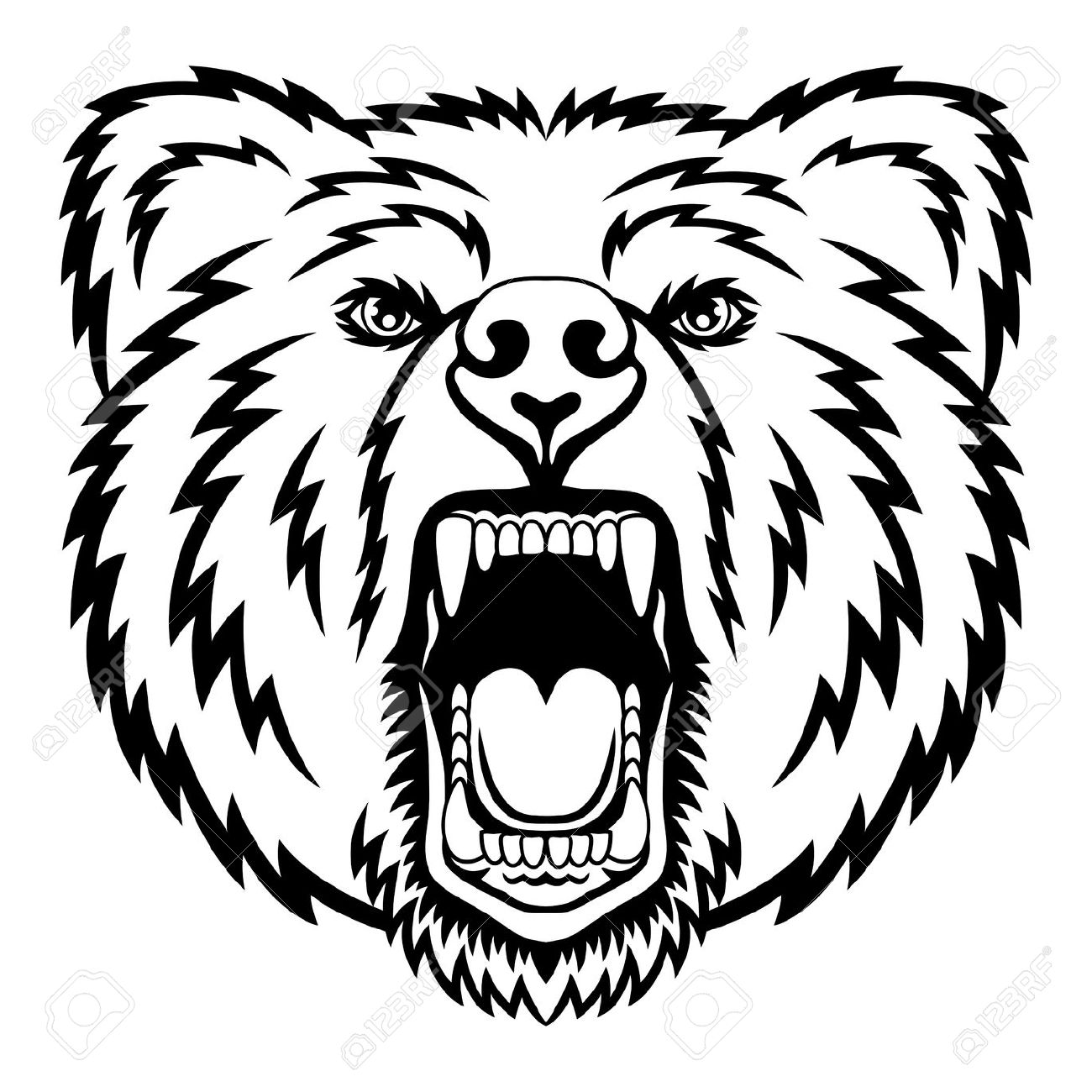 1300x1300 Grizzly Drawing Polar Bear Transparent Png Clipart Free Download