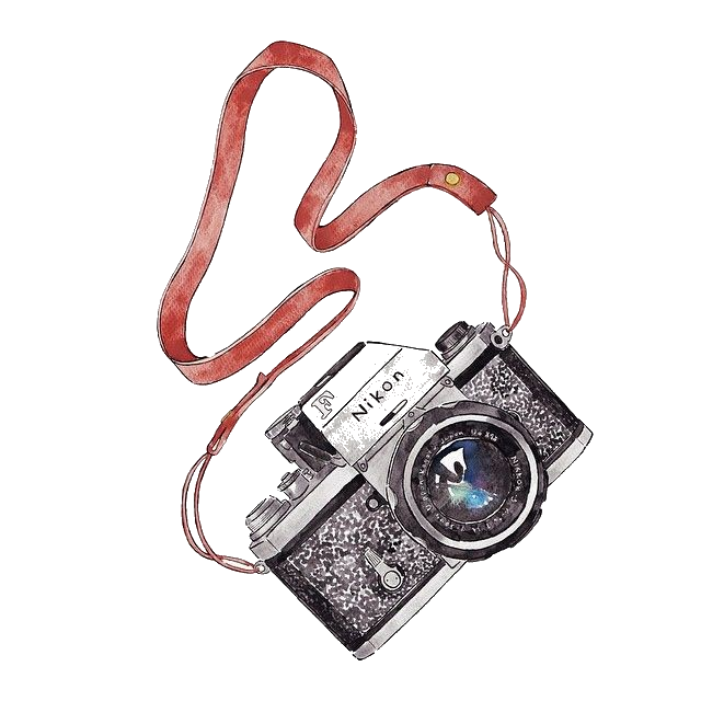 640x640 Polaroid Vector Illustration Pictureart Sketch Drawing