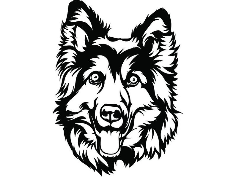 794x597 German Shepherd Smiling Dog Breed K Pet Police Cop Law Etsy