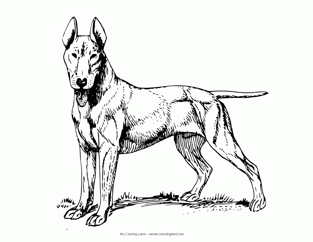 1056x816 Pics Of German Shepherd Police Dogs Coloring Pages