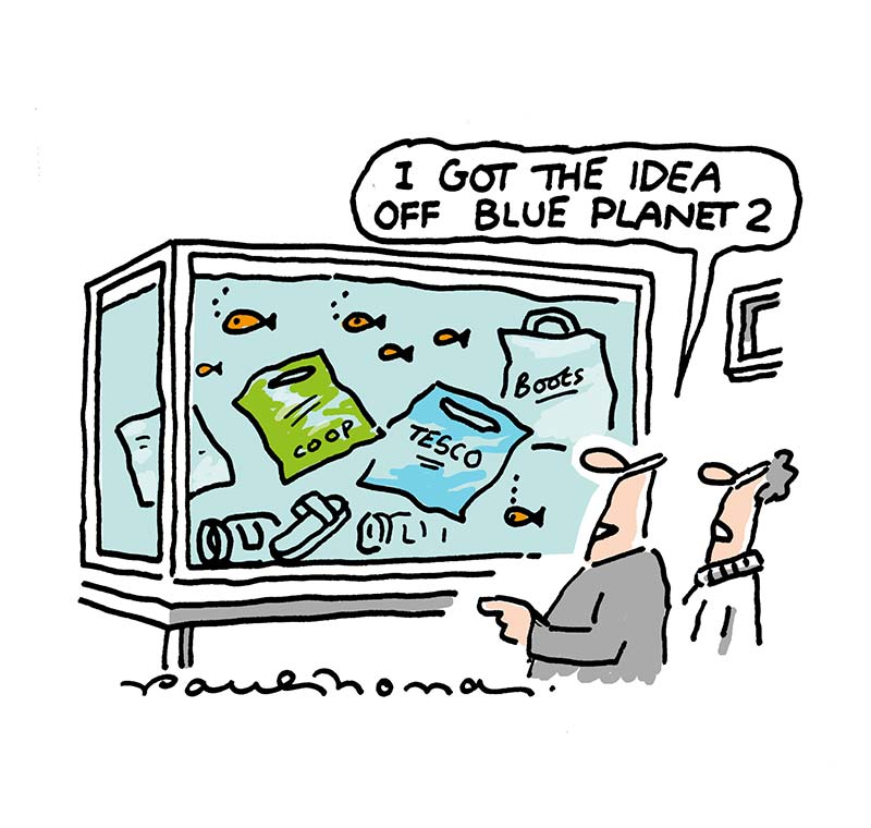 800x760 Paul Thomas Portfolio