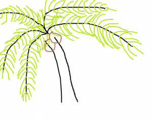 302x238 How To Draw How To Draw A Palm Tree Easy