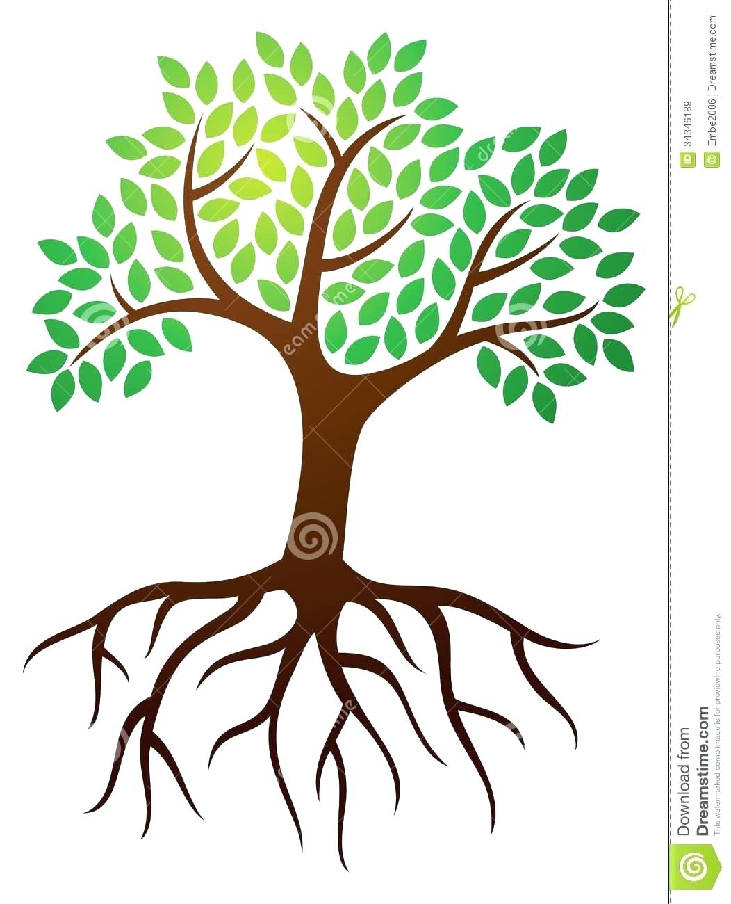 1052x1300 An Easy To Draw Tree