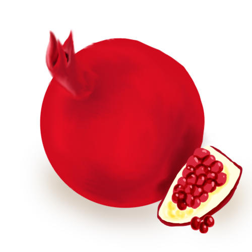 500x500 Collection Of Free Pomegranate Drawing Step By Download On Ui Ex